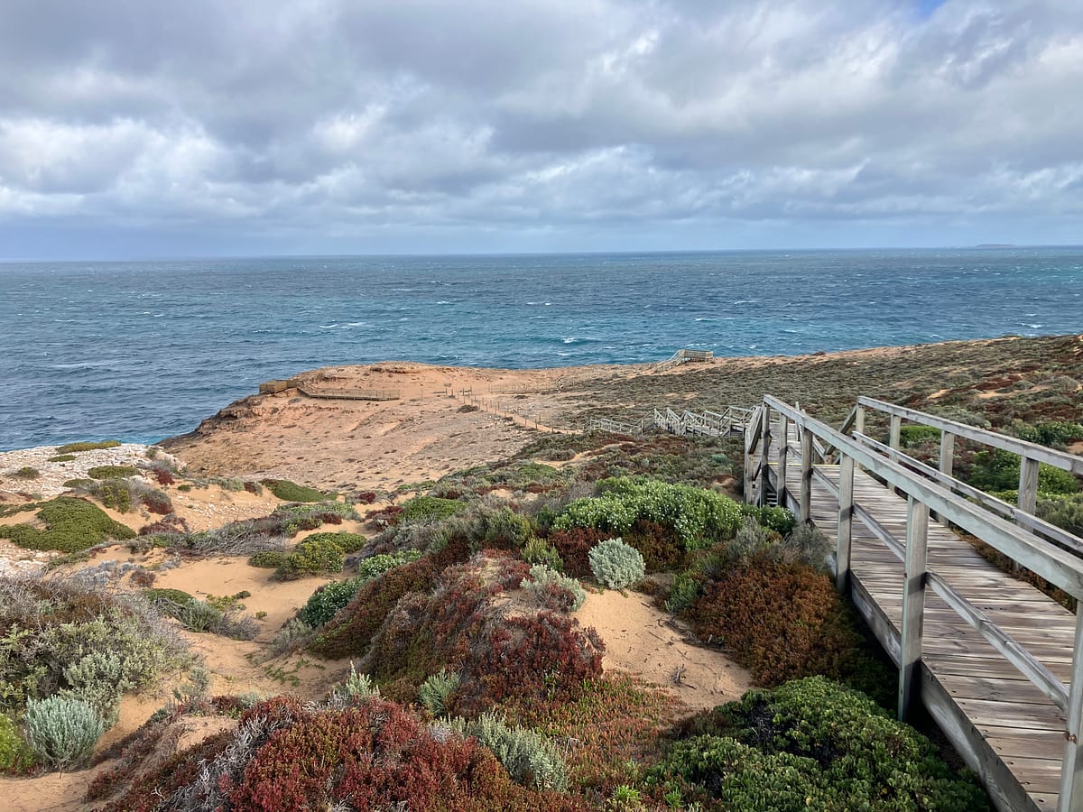 Eyre Peninsula Insights